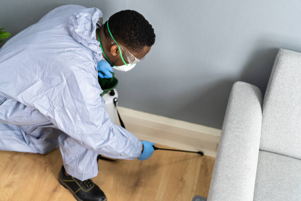 Reliable Prospect, OH Pest Control Solutions